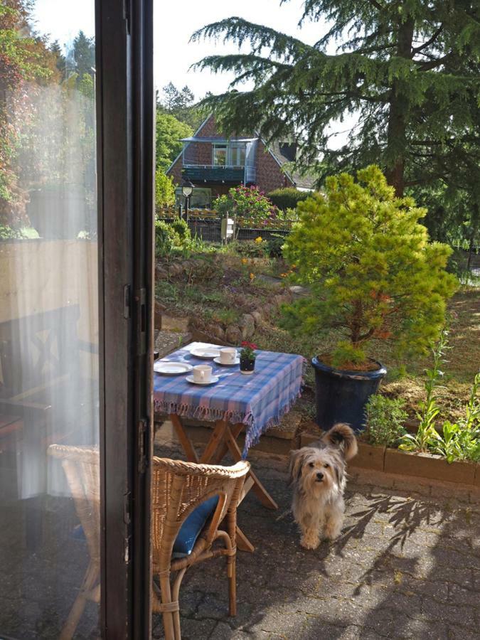 Ferienwohnung Am Waldrand, Hitzacker Eksteriør billede
